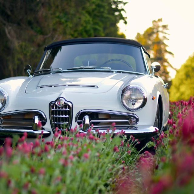 Alfa Romeo Spider 1