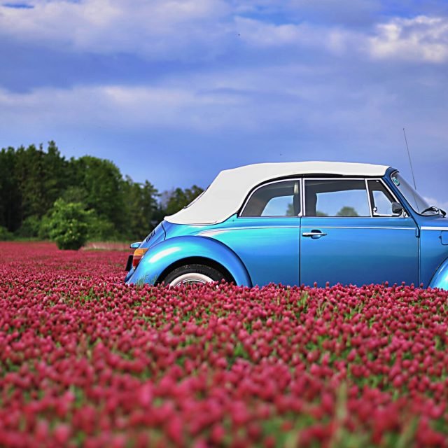 Käfer1303CabrioRestaurationTschechien01